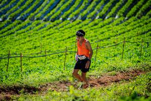 BIB: 2004
                            <button type="button" onclick="openModal(19161560)" class="btn btn-primary btn-sm float-right btn-popup" data-toggle="modal" data-target=".modal-high-quality">
                        <i class="fas fa-shopping-cart"></i> Add to Cart
                    </button>
                                            <button type="button" onclick="isThisMe(19161560, true)" class="btn btn-success btn-sm float-right btn-popup btn-isme hidden" data-toggle="tooltip" data-placement="bottom" title="นี่คือรูปของคุณใช่ไหม คลิกที่นี่เพื่อเอาเข้าอัลบั้ม">
                        <i class="fas fa-plus"></i> Add to album
                    </button>
                    <button type="button" onclick="isThisMe(19161560, false)" class="btn btn-warning btn-sm float-right btn-popup btn-isnotme hidden">
                        <i class="fas fa-ban"></i> Remove from album
                    </button>